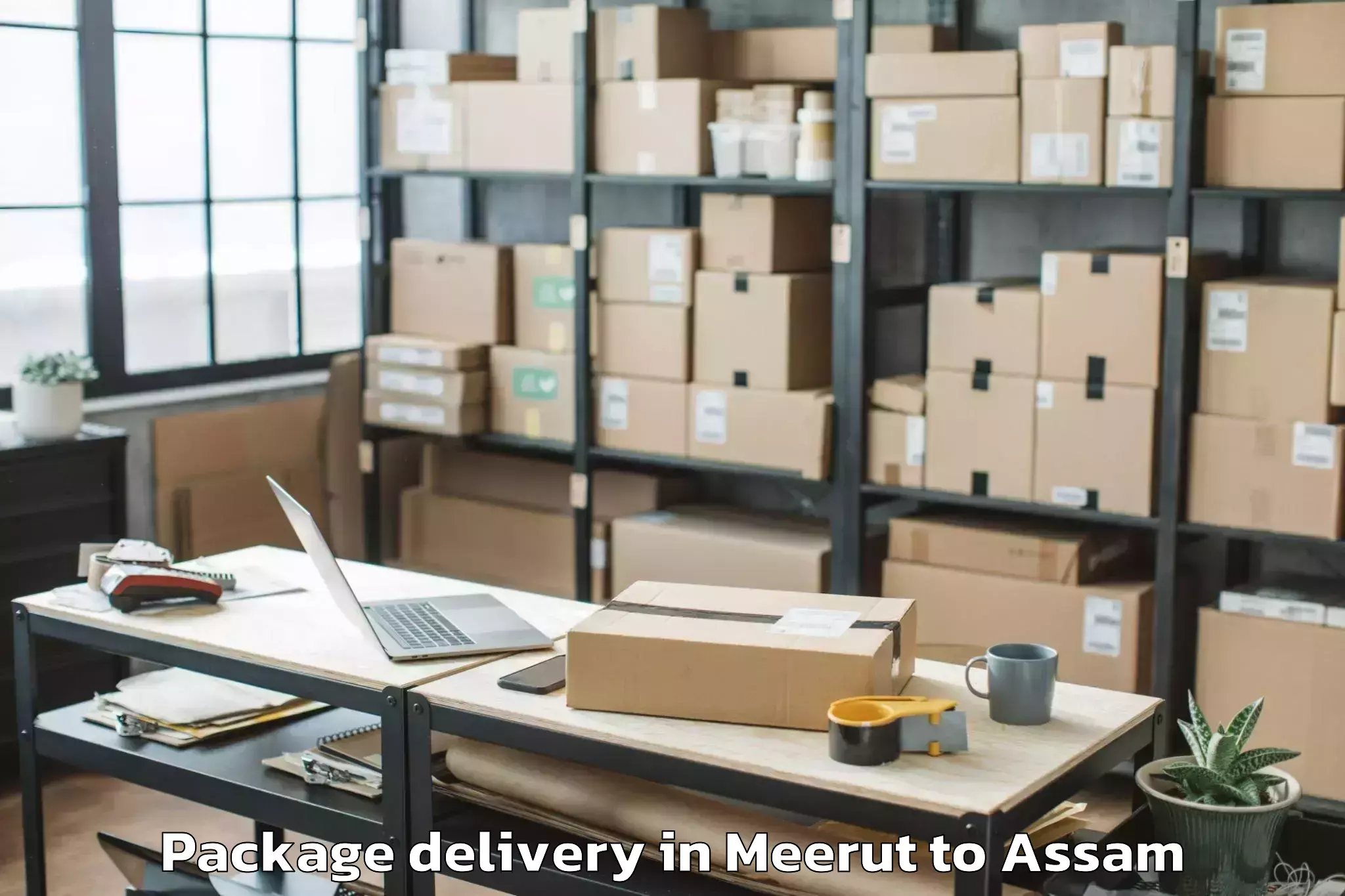 Quality Meerut to Hojai Package Delivery